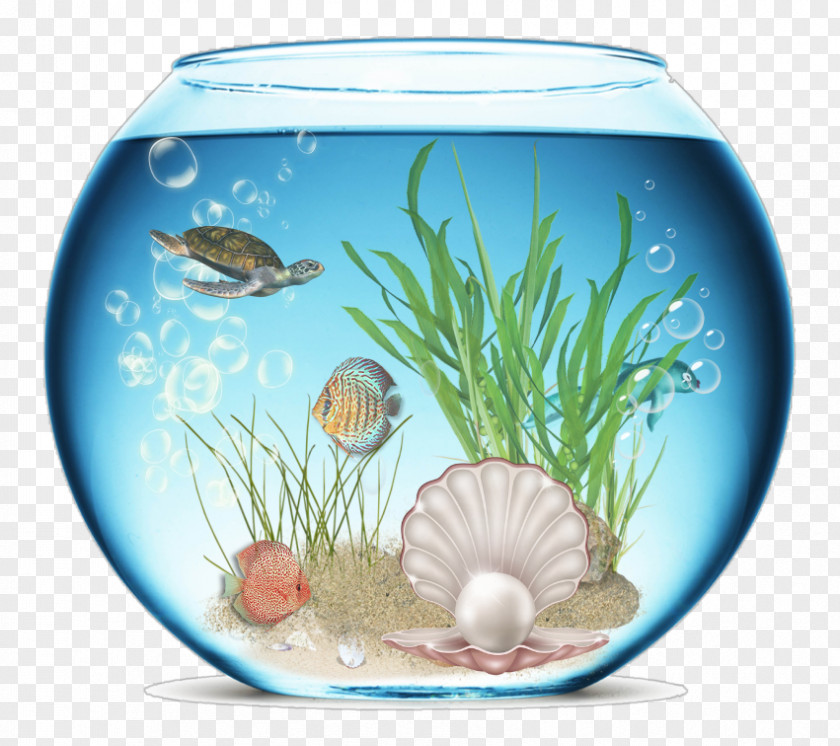 Fish Tank Scenery Material Map Aquarium Icon PNG