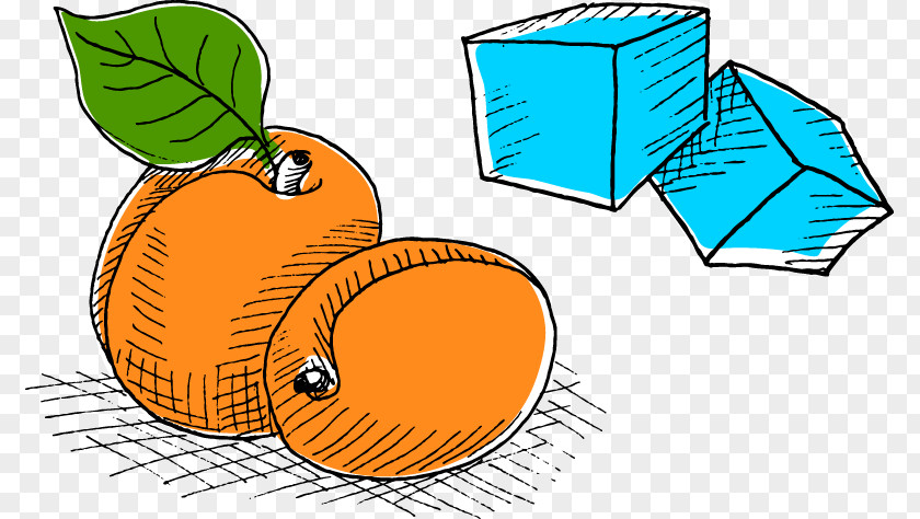 Hand-painted Food Vector Cartoon Ice Apricots Fruit U674eu5b50 Clip Art PNG