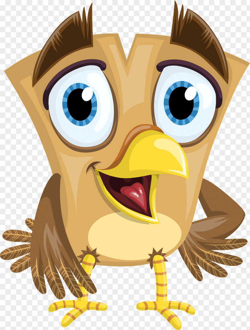 Owl Bird Beak PNG
