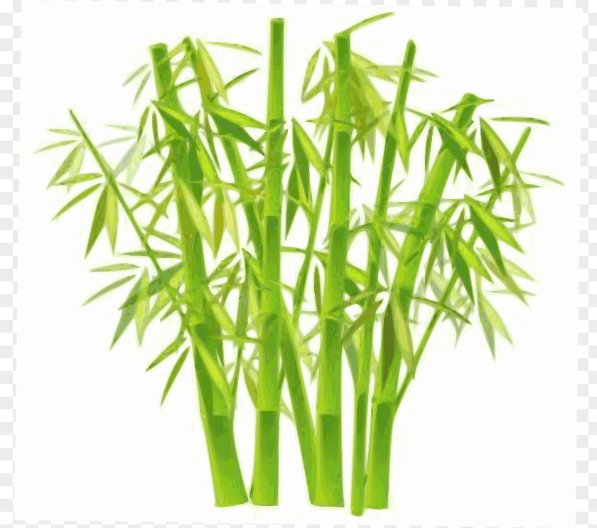 Bamboo Background Cliparts Lucky Plant Clip Art PNG