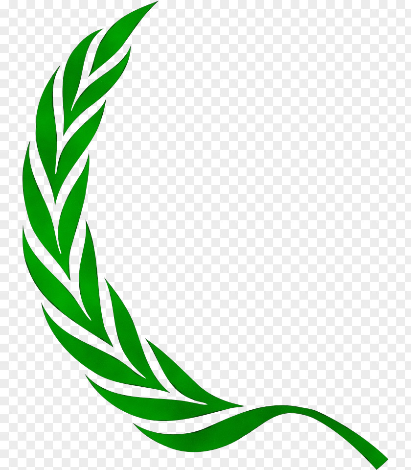 Plant Leaf Laurel Crown PNG