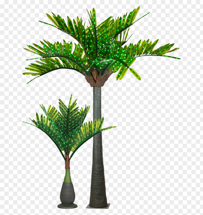 Yard Light Arecaceae Tree Date Palm Clip Art PNG