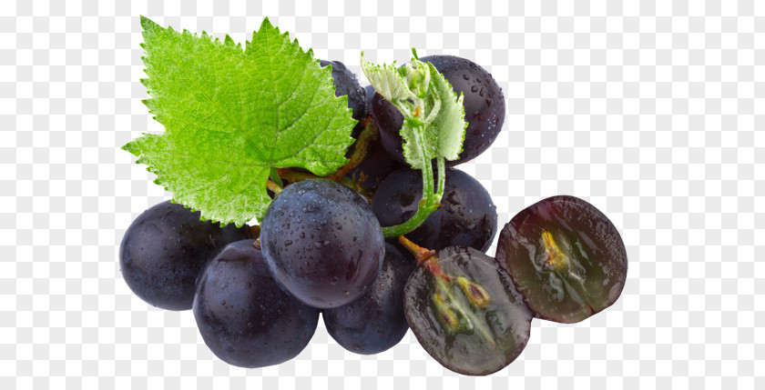 Black Grape Seeds Common Vine Seed Oil Organic Food PNG