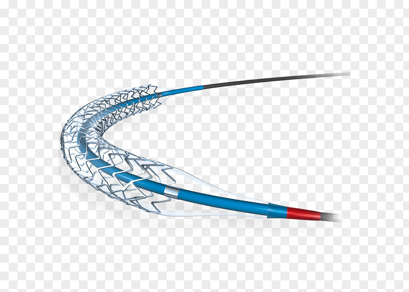 Catheter Design Element Boston Scientific Drug-eluting Stent Coronary Stenting Everolimus PNG