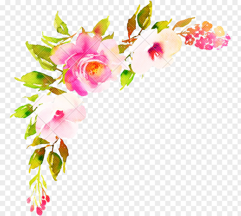 Floral Design PNG