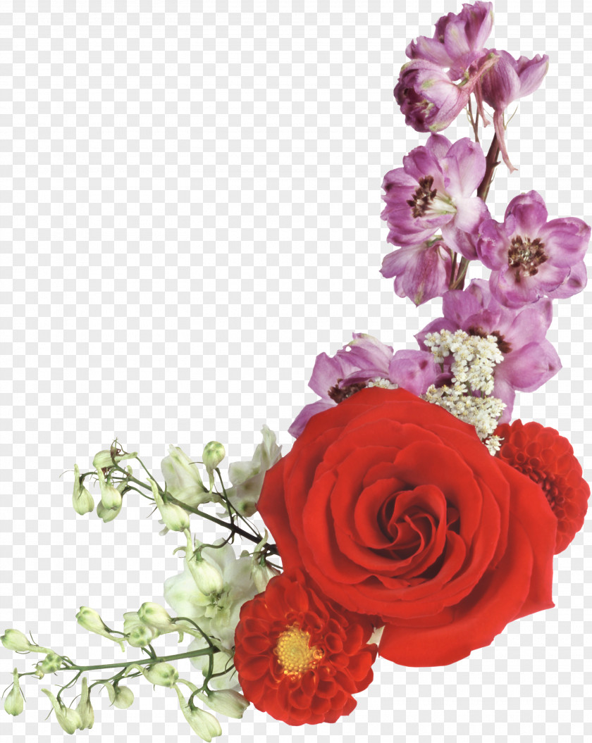 Flowers Flower Garden Roses PhotoScape Clip Art PNG