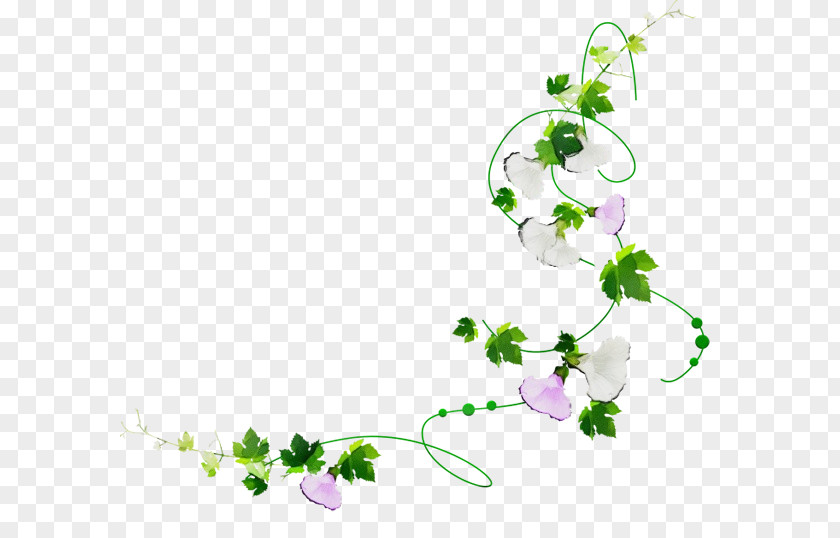 Ivy Wildflower PNG