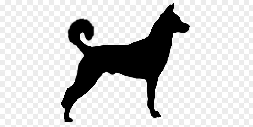 Vizsla Dobermann Labrador Retriever Brittany Dog German Shorthaired Pointer PNG