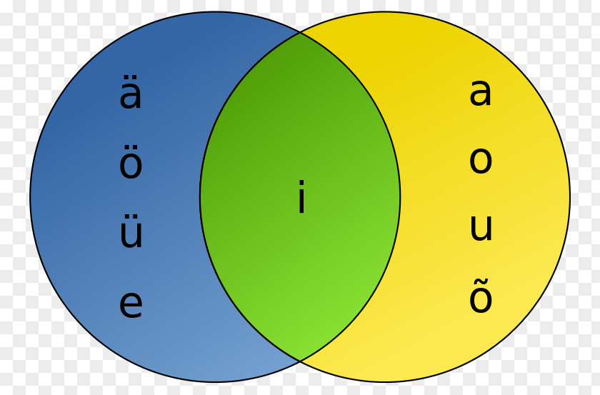 Word Vowel Harmony Finnish Phonetics Grammar PNG