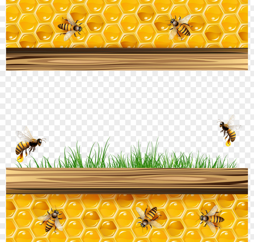 Yellow Honey Bee Honeycomb Illustration PNG