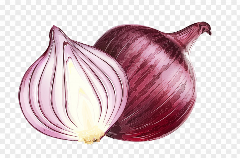 Yellow Onion Garlic Shallot Red Purple PNG