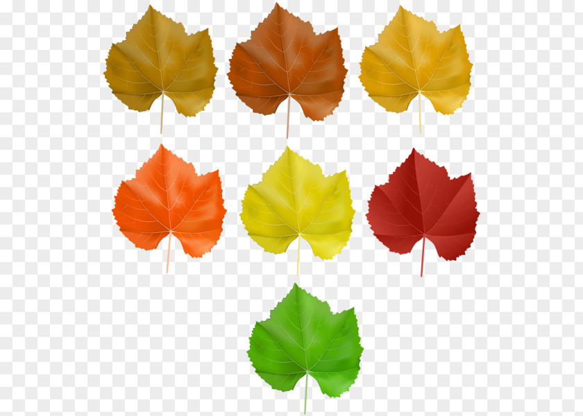 Autumn Leaf Napkin Rings Clip Art Image Transparency PNG