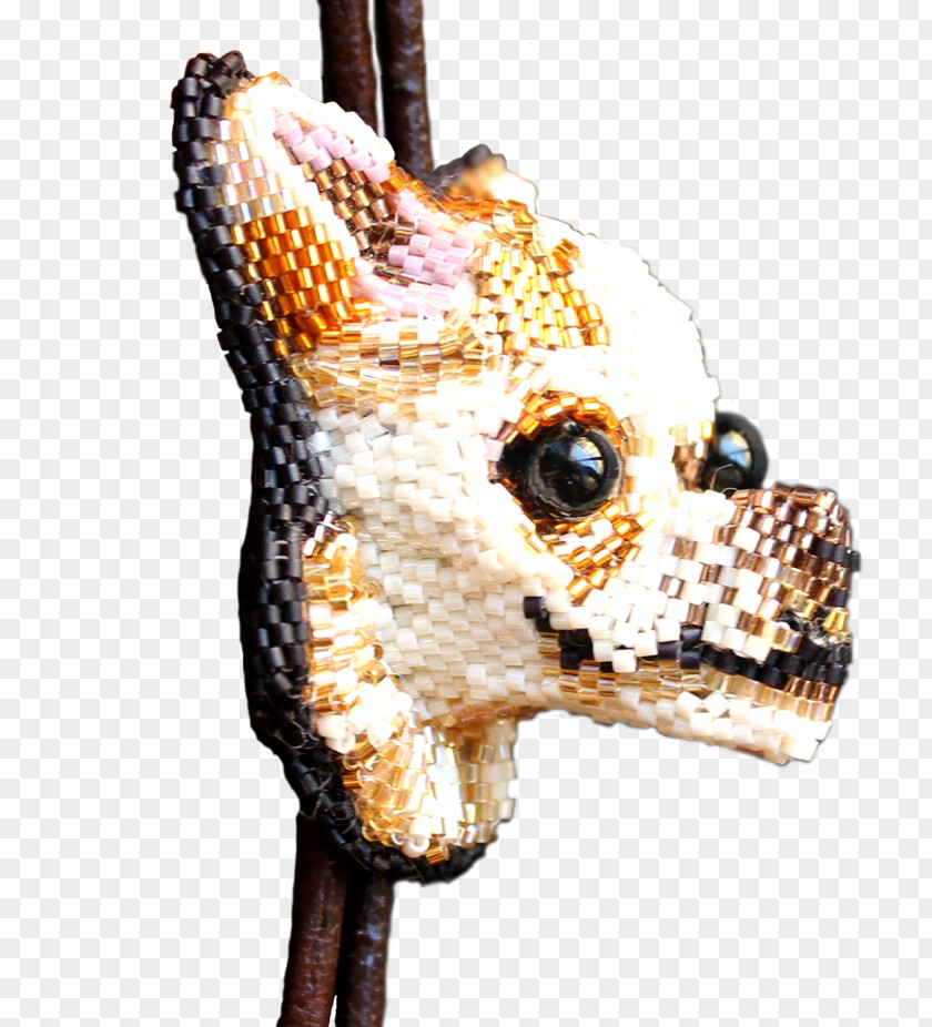 Chihuahua Dog Snout Carnivora Canidae Animal PNG