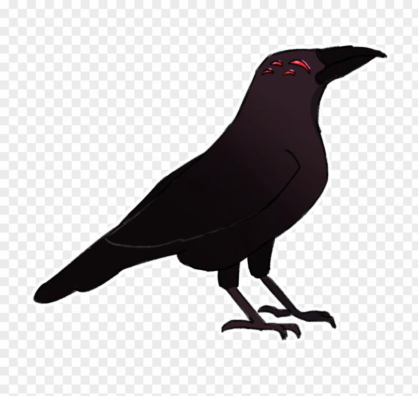 Parrot American Crow New Caledonian Bird Common Raven PNG