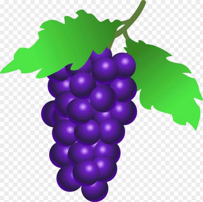 Purple Grapes Cliparts Common Grape Vine Wine Grappa Berry PNG