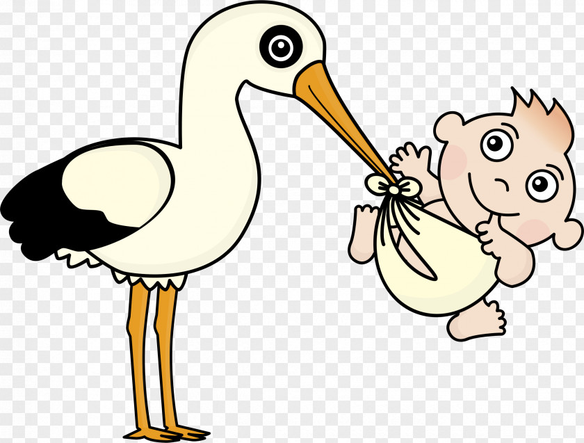 Stork Vector Graphics Clip Art Infant Image PNG