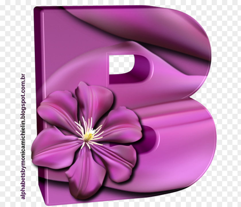 Tc Product Design Petal PNG