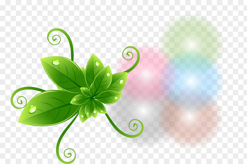 Beautifully Green Theme Label Vector Material Leaf PNG