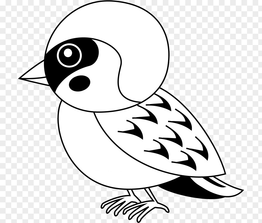 Bird Black And White Eurasian Tree Sparrow Clip Art PNG