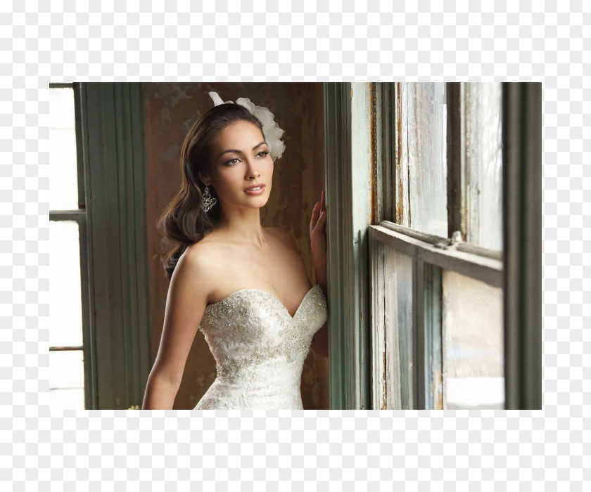 Dress Wedding Gown Cocktail Clothing PNG