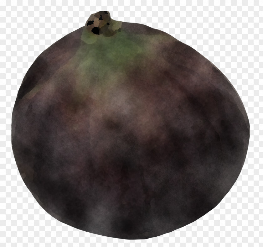 Plant Sphere PNG