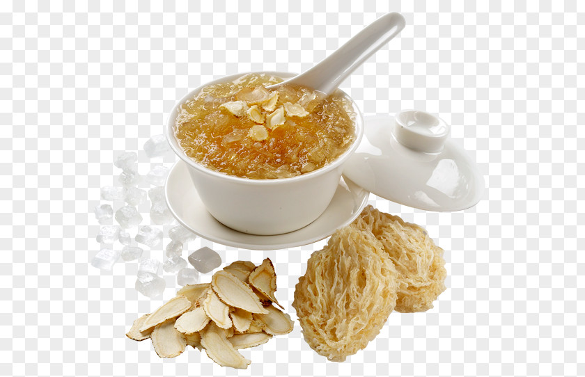 Bird Edible Bird's Nest Swallow PNG