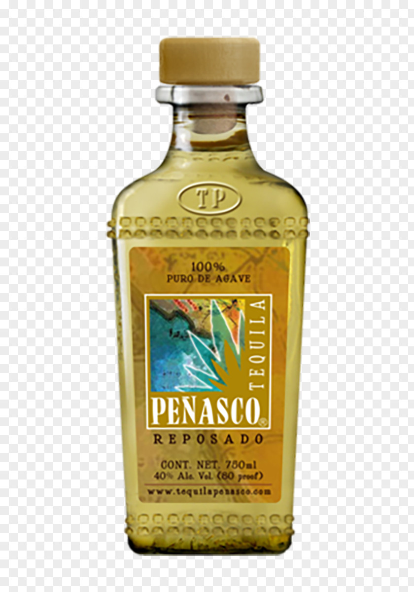 Cocktail Liqueur Tequila Distilled Beverage Peñasco PNG