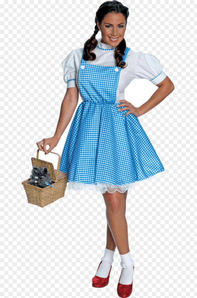 Fancy Dress Dorothy Gale The Wizard Of Oz Wonderful Glinda Wicked Witch West PNG
