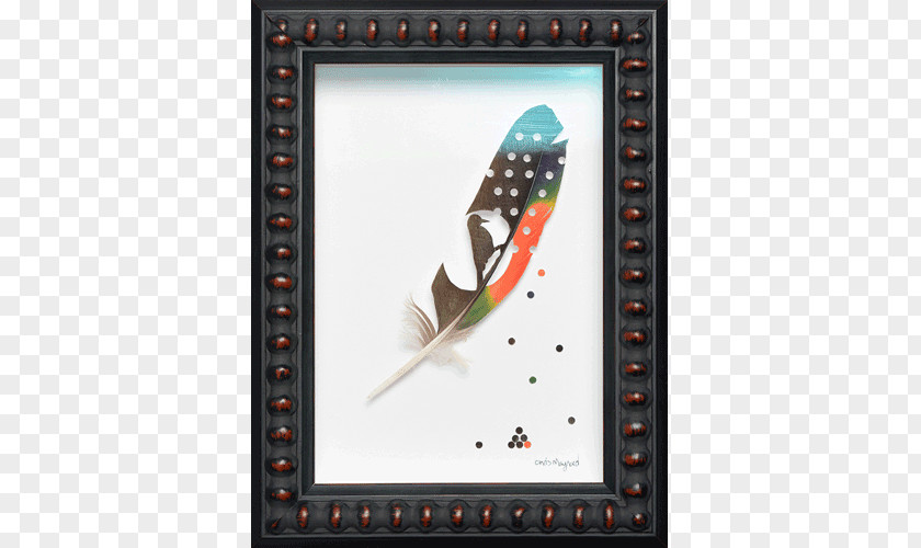 Feather Picture Frames PNG