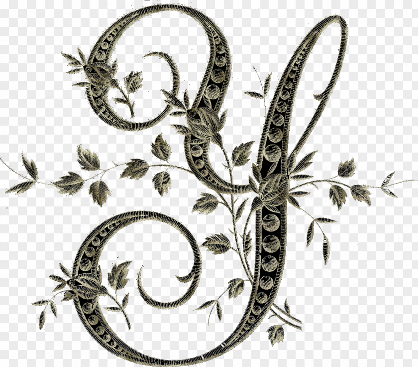 Insect Reptile Body Jewellery Pollinator Font PNG