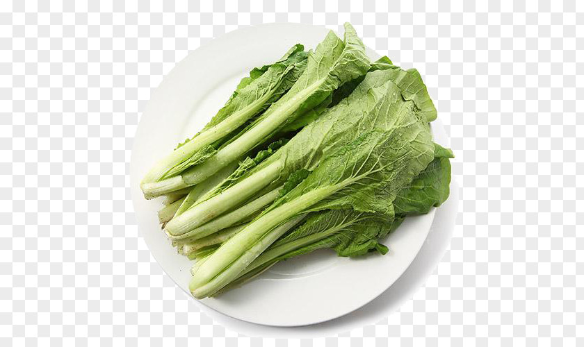 A Cabbage Romaine Lettuce Kale Vegetable PNG
