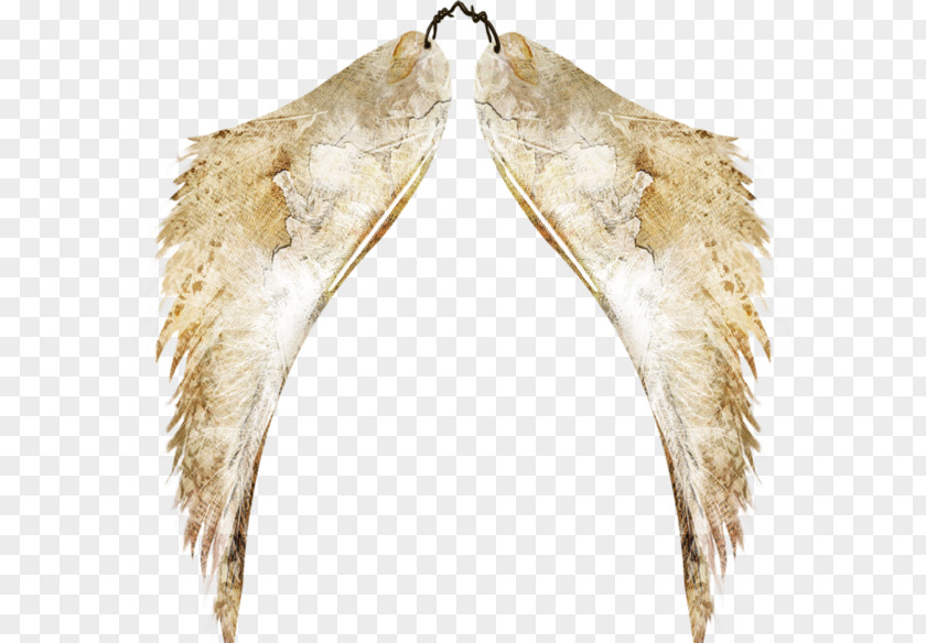 Angel Wing Clip Art PNG