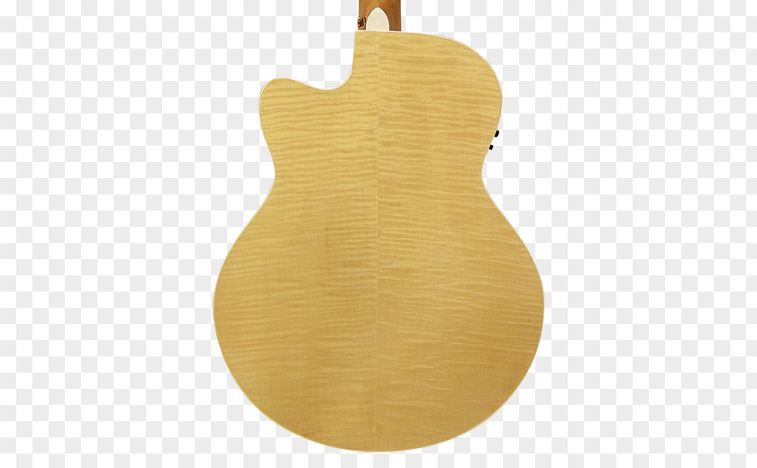 Guitar Wood /m/083vt PNG