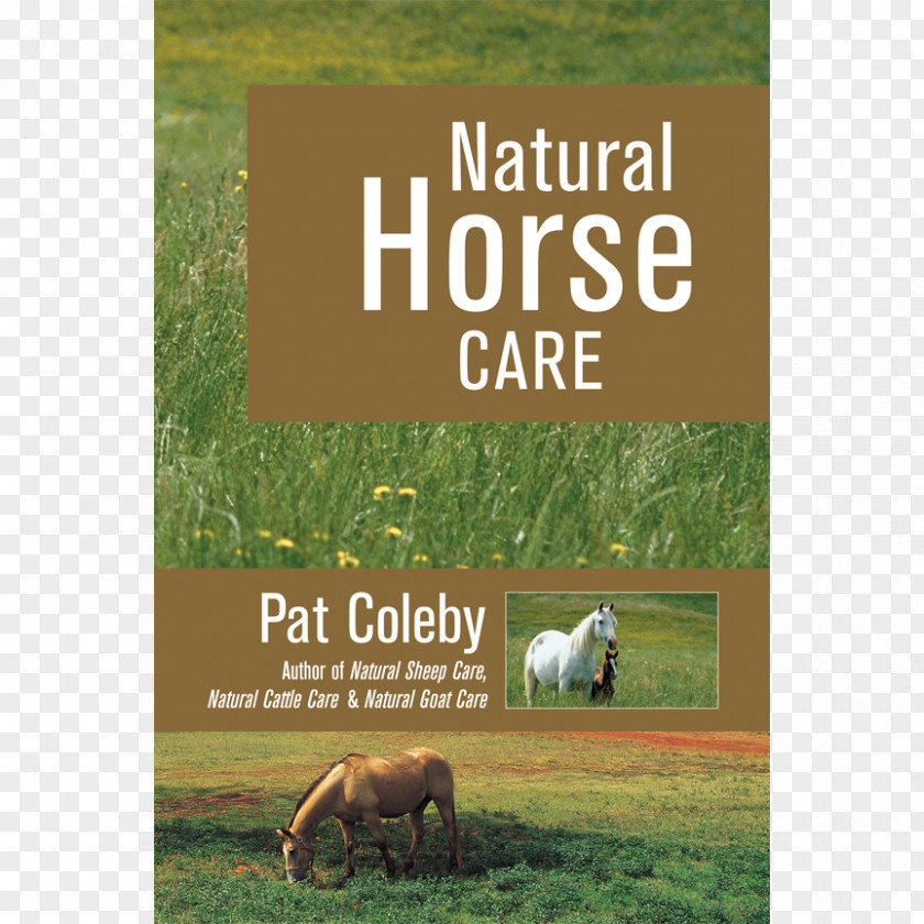 Horse Natural Care Cattle Healthy Naturally Amazon.com PNG