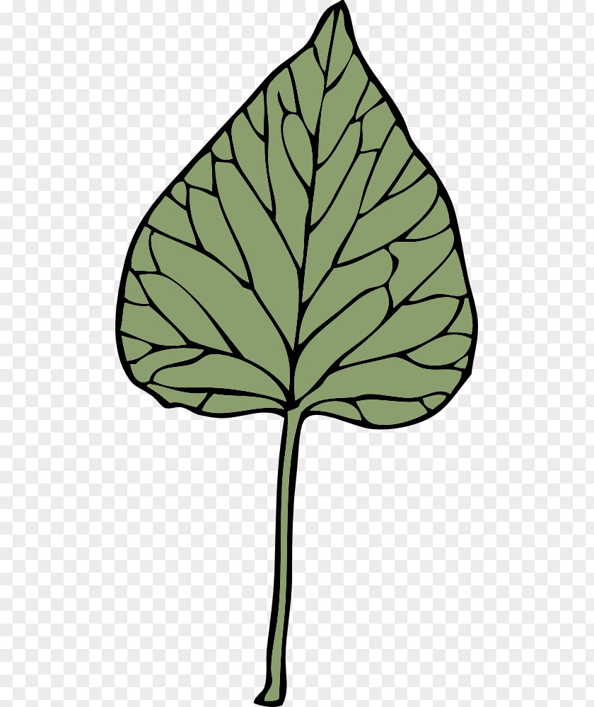 Leaf Growing Cliparts Download Free Content Clip Art PNG
