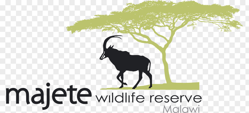 Majete Wildlife Reserve Liwonde National Park Cattle Logo PNG