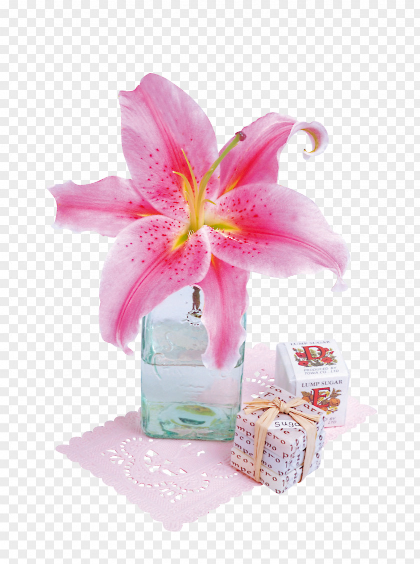 Pink Floral Design Flower Petal PNG