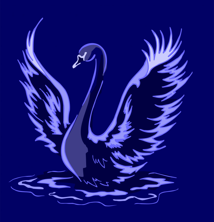 Swan Bird Cygnini Clip Art PNG