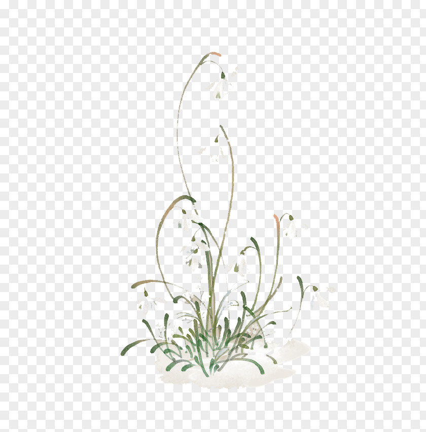 Watercolor Flowers Floral Design Flowerpot Pattern PNG