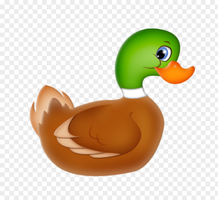 Duck Mallard Drawing Home Page Clip Art PNG