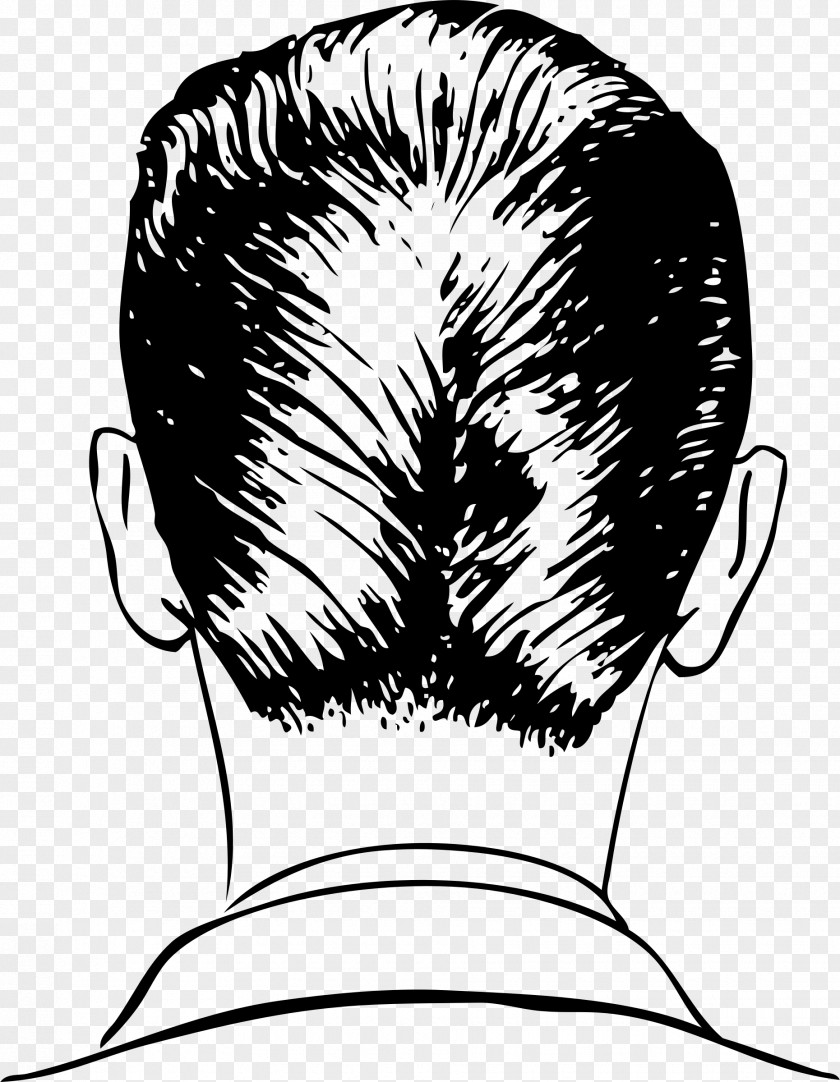 Haircut 1950s Comb Ducktail Hairstyle Barber PNG