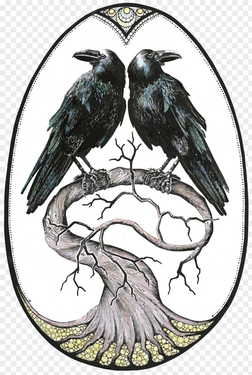 Vector Raven Common Rook Bird PNG