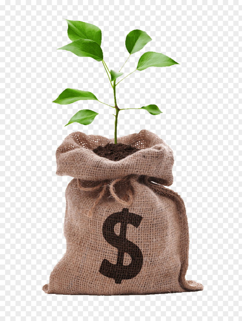 Money Tree Stock Photography Bag Saving Coin PNG