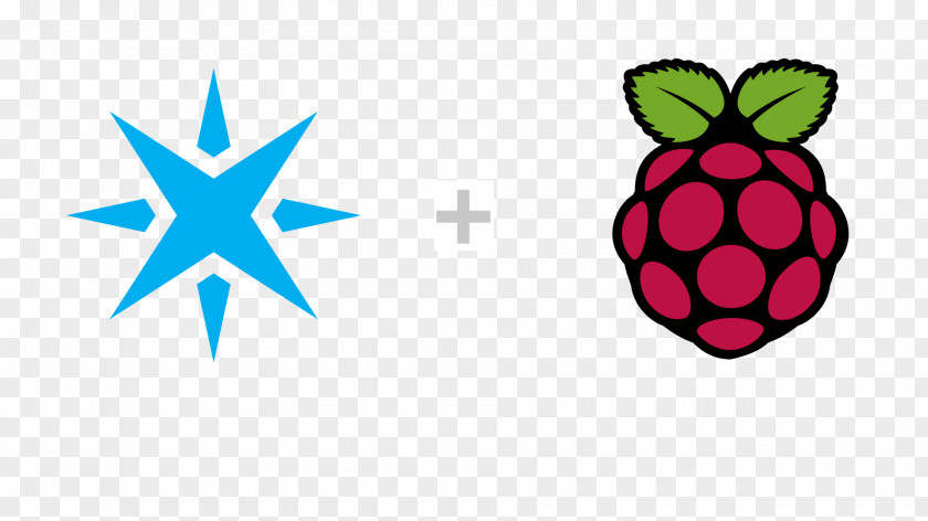Raspberries Raspberry Pi Raspbian Computer Cases & Housings Noobs Program PNG