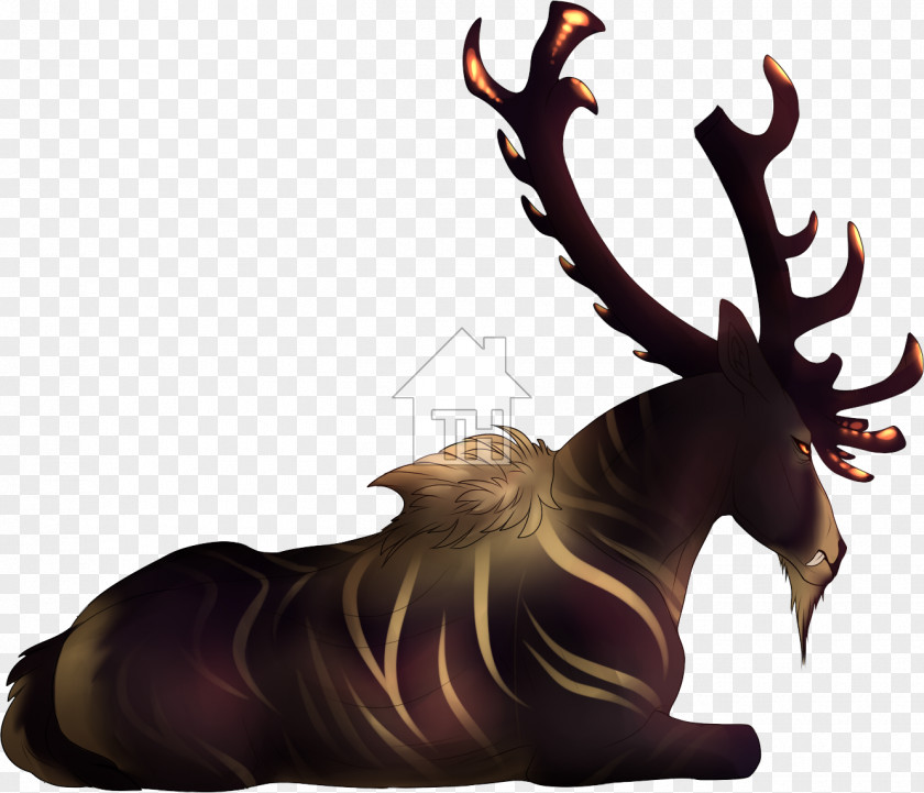 Reindeer Elk Wildlife PNG