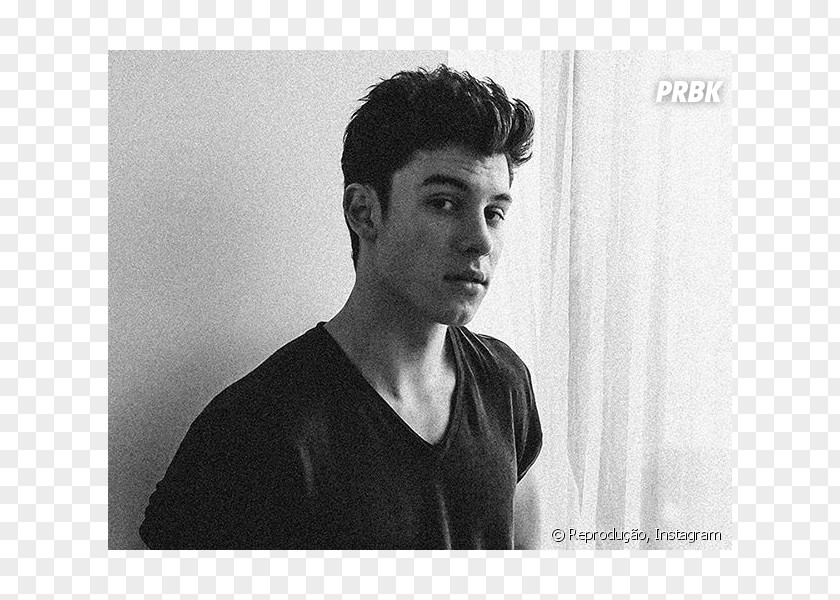 Shawn Mendes Fan Fiction Illuminate Pickering Aftertaste PNG