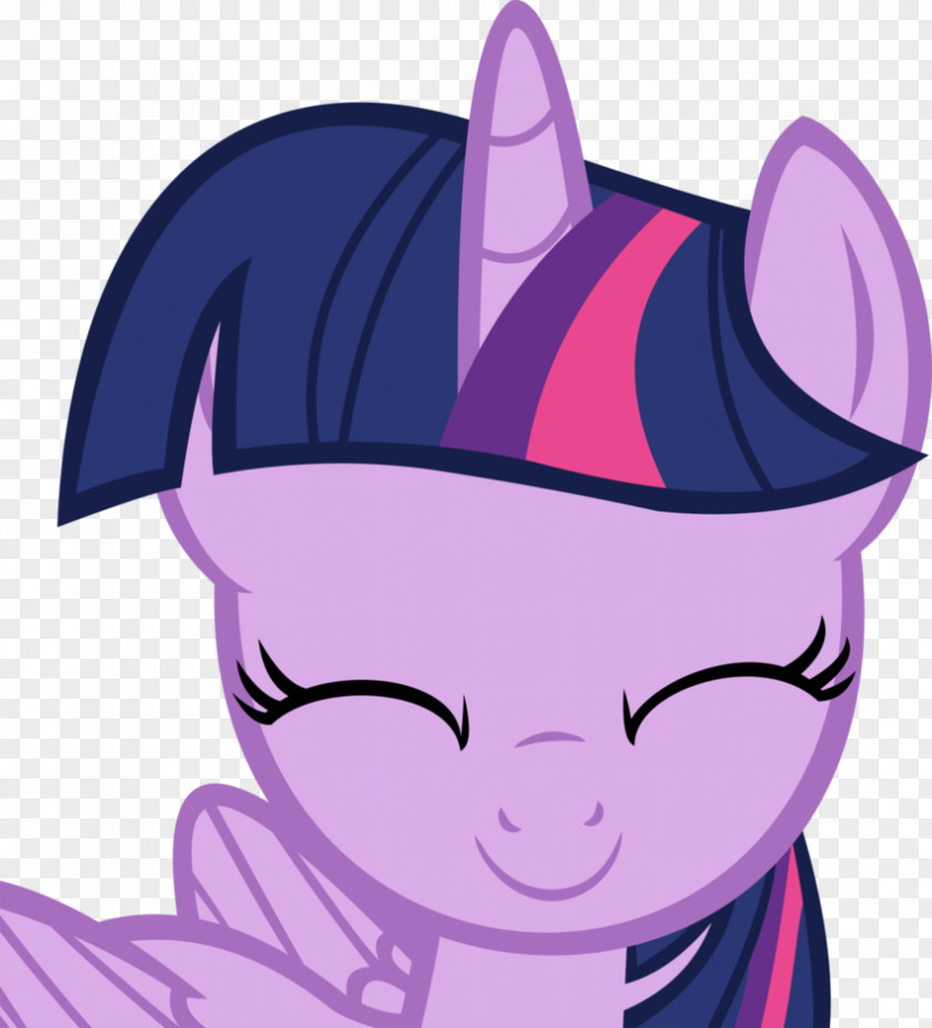 Twilight Sparkle My Little Pony Art PNG