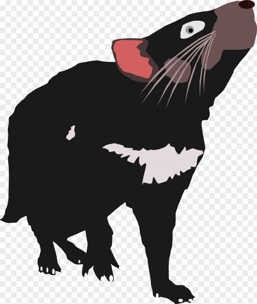 Cat Tasmanian Devil She-Devil PNG