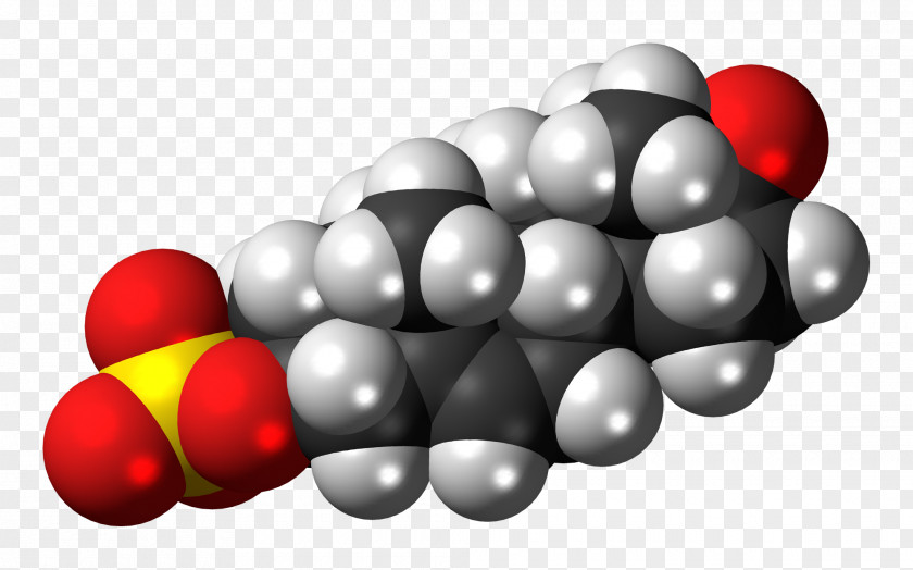 Molecule Chemistry Cortisol Progesterone Adrenal Gland PNG