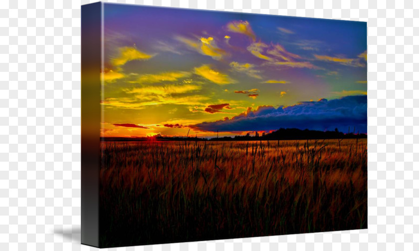 Painting Picture Frames Gallery Wrap Canvas Art PNG